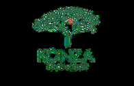 Konza Technopolis
